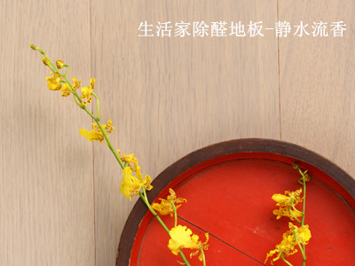 說(shuō)明: 生活家除醛地板-靜水流香1_副本.jpg